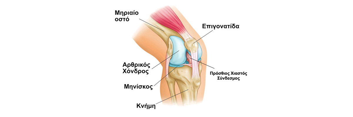 knee-page2.jpg