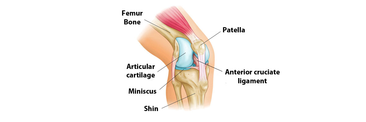 knee-page2-en.jpg